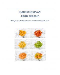 Portfolio - Marketingplan Fruit