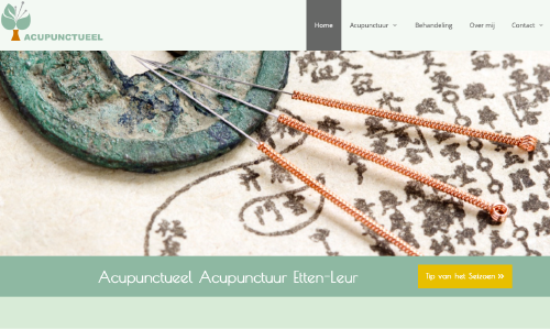 Marketing website Acupunctuur